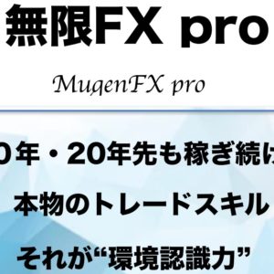 無限FXproは相場の環境認識力を練習するFX情報商材