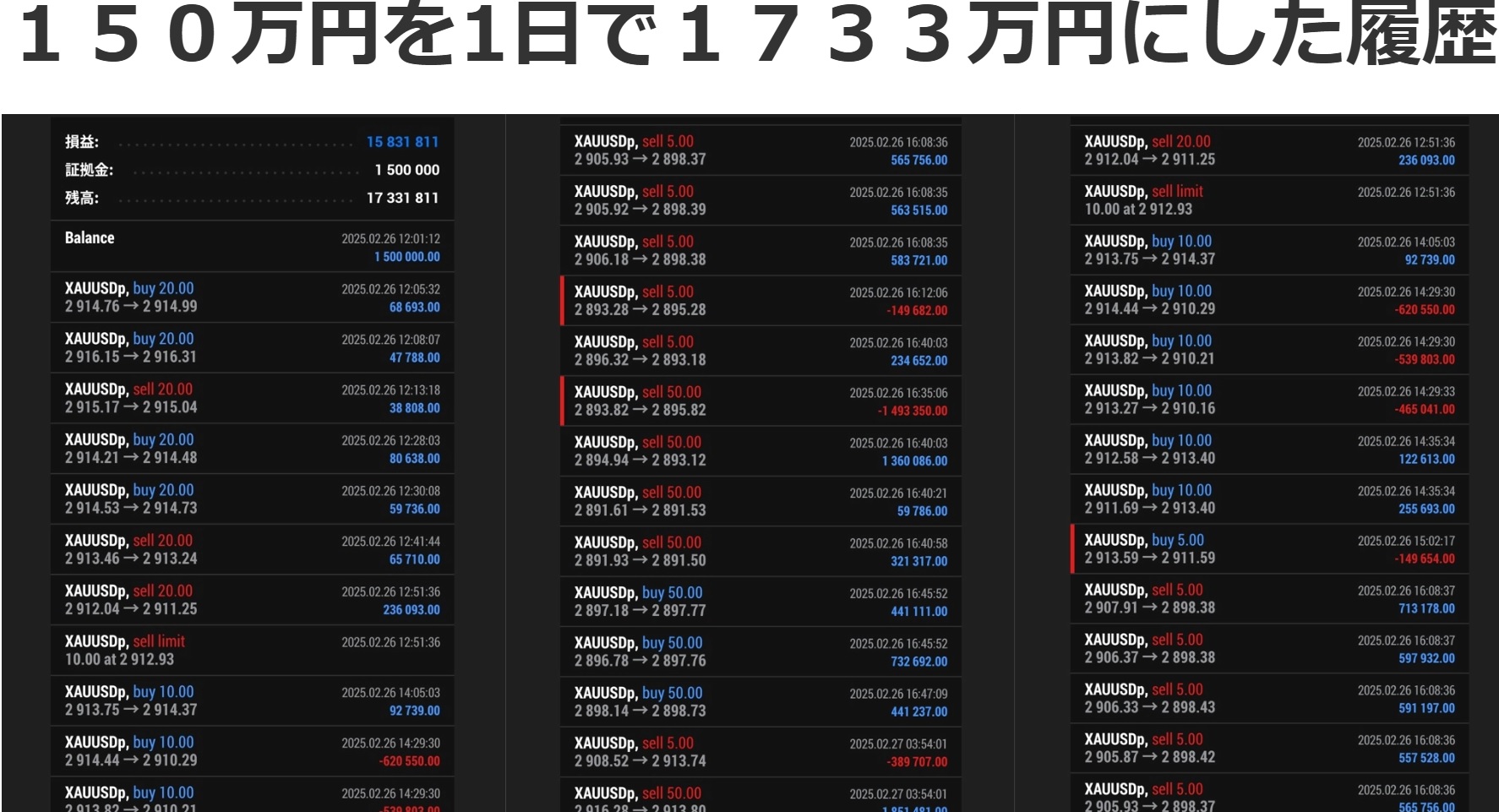 進撃の矢実践編の「150万円を1日で1,733万円にした履歴」の画像